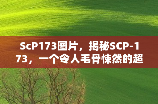ScP173图片,揭秘SCP-173,一个令人毛骨悚然的超自然生物 ScP173图片,揭秘SCP-173,一个令人毛骨悚然的超自然生物
