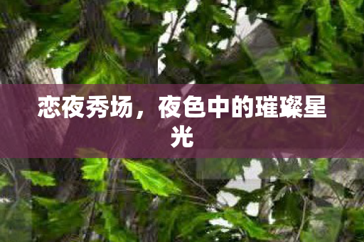 恋夜秀场,夜色中的璀璨星光 恋夜秀场,夜色中的璀璨星光