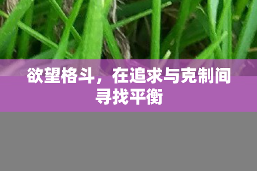 欲望格斗,在追求与克制间寻找平衡 欲望格斗,在追求与克制间寻找平衡