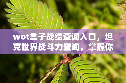 wot盒子战绩查询入口,坦克世界战斗力查询,掌握你的战场优势 wot盒子战绩查询入口,坦克世界战斗力查询,掌握你的战场优势