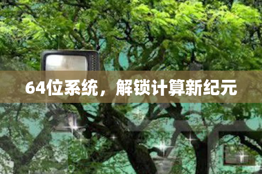 64位系统,解锁计算新纪元 64位系统,解锁计算新纪元