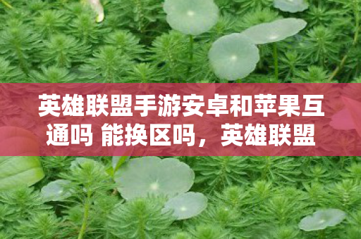英雄联盟手游安卓和苹果互通吗 能换区吗,英雄联盟手游安卓和苹果互通吗? 英雄联盟手游安卓和苹果互通吗 能换区吗,英雄联盟手游安卓和苹果互通吗?