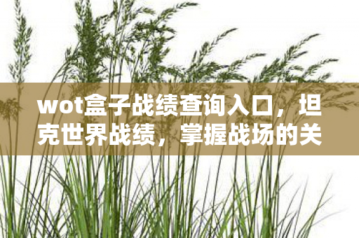 wot盒子战绩查询入口,坦克世界战绩,掌握战场的关键 wot盒子战绩查询入口,坦克世界战绩,掌握战场的关键