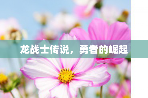 龙战士传说,勇者的崛起 龙战士传说,勇者的崛起