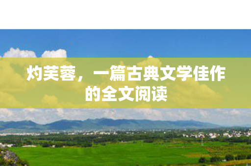灼芙蓉,一篇古典文学佳作的全文阅读 灼芙蓉,一篇古典文学佳作的全文阅读