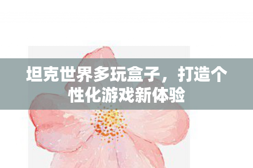 坦克世界多玩盒子,打造个性化游戏新体验 坦克世界多玩盒子,打造个性化游戏新体验