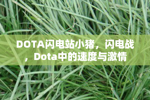 DOTA闪电站小猪,闪电战,Dota中的速度与激情 DOTA闪电站小猪,闪电战,Dota中的速度与激情
