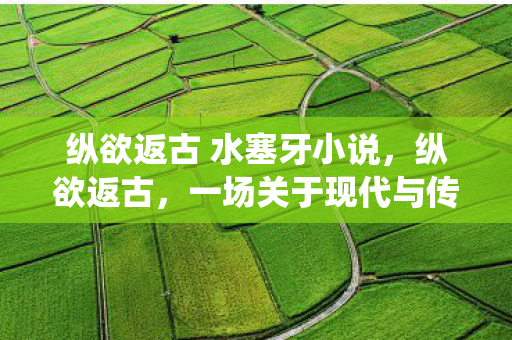 纵欲返古 水塞牙小说,纵欲返古,一场关于现代与传统的博弈 纵欲返古 水塞牙小说,纵欲返古,一场关于现代与传统的博弈