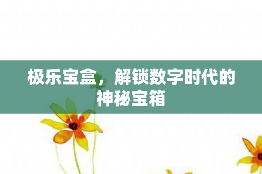 极乐宝盒,解锁数字时代的神秘宝箱 极乐宝盒,解锁数字时代的神秘宝箱