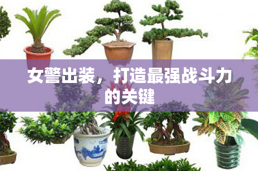 女警出装,打造最强战斗力的关键 女警出装,打造最强战斗力的关键