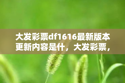 大发彩票df1616最新版本更新内容是什,大发彩票,梦想与现实的桥梁 大发彩票df1616最新版本更新内容是什,大发彩票,梦想与现实的桥梁