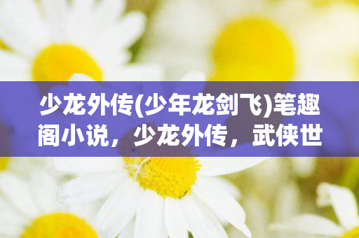 少龙外传(少年龙剑飞)笔趣阁小说，少龙外传，武侠世界的传奇少年