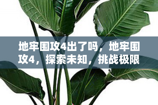 地牢围攻4出了吗，地牢围攻4，探索未知，挑战极限