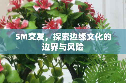 SM交友,探索边缘文化的边界与风险 SM交友,探索边缘文化的边界与风险