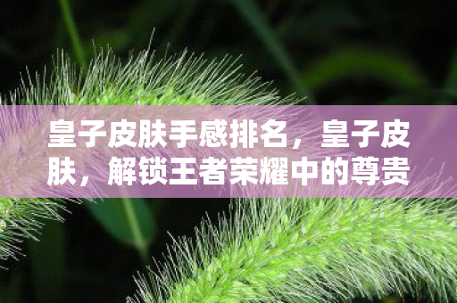 皇子皮肤手感排名,皇子皮肤,解锁王者荣耀中的尊贵身份 皇子皮肤手感排名,皇子皮肤,解锁王者荣耀中的尊贵身份