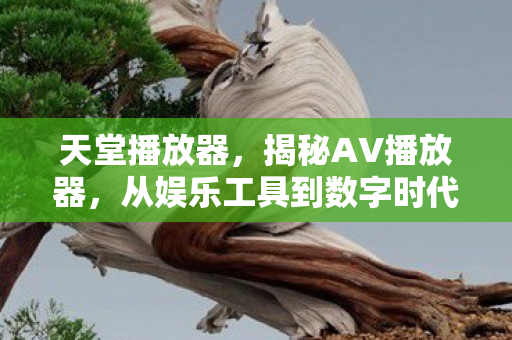 天堂播放器,揭秘AV播放器,从娱乐工具到数字时代的必备神器 天堂播放器,揭秘AV播放器,从娱乐工具到数字时代的必备神器