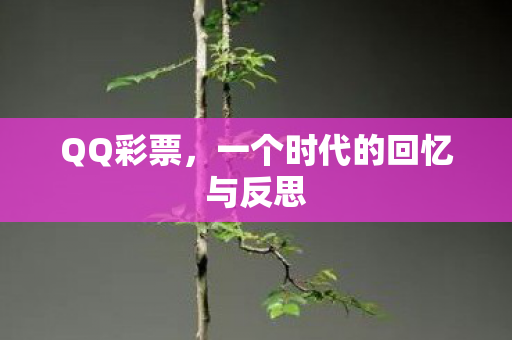 QQ彩票,一个时代的回忆与反思 QQ彩票,一个时代的回忆与反思