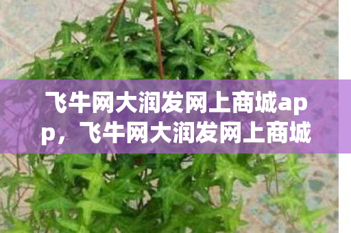 飞牛网大润发网上商城app,飞牛网大润发网上商城,重塑购物体验的新篇章 飞牛网大润发网上商城app,飞牛网大润发网上商城,重塑购物体验的新篇章