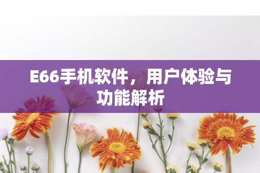 E66手机软件,用户体验与功能解析 E66手机软件,用户体验与功能解析