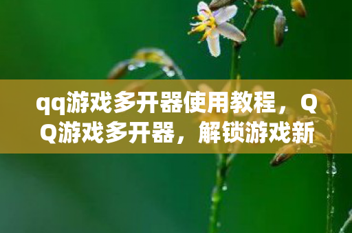 qq游戏多开器使用教程,QQ游戏多开器,解锁游戏新体验 qq游戏多开器使用教程,QQ游戏多开器,解锁游戏新体验