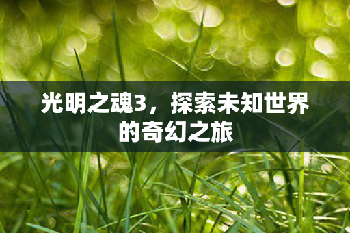 光明之魂3,探索未知世界的奇幻之旅 光明之魂3,探索未知世界的奇幻之旅