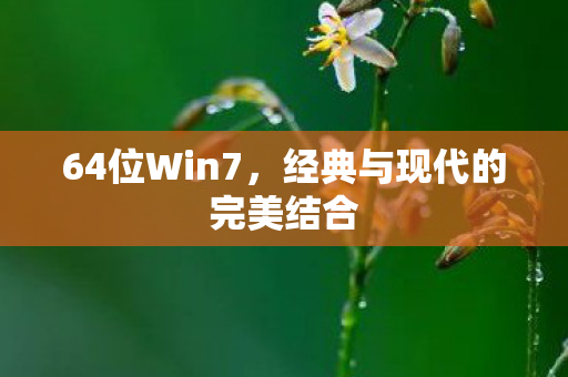 64位Win7,经典与现代的完美结合 64位Win7,经典与现代的完美结合