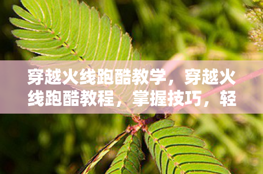 穿越火线跑酷教学,穿越火线跑酷教程,掌握技巧,轻松穿越 穿越火线跑酷教学,穿越火线跑酷教程,掌握技巧,轻松穿越
