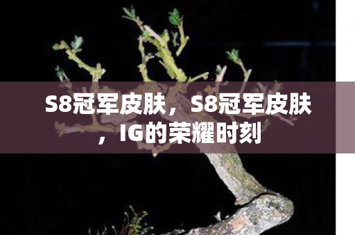 S8冠军皮肤,S8冠军皮肤,IG的荣耀时刻 S8冠军皮肤,S8冠军皮肤,IG的荣耀时刻