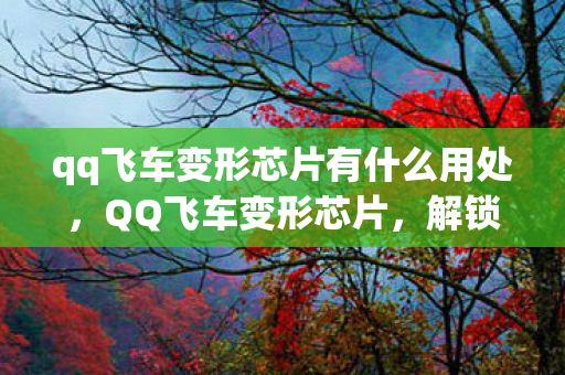 qq飞车变形芯片有什么用处,QQ飞车变形芯片,解锁赛车新形态,提升竞速体验 qq飞车变形芯片有什么用处,QQ飞车变形芯片,解锁赛车新形态,提升竞速体验