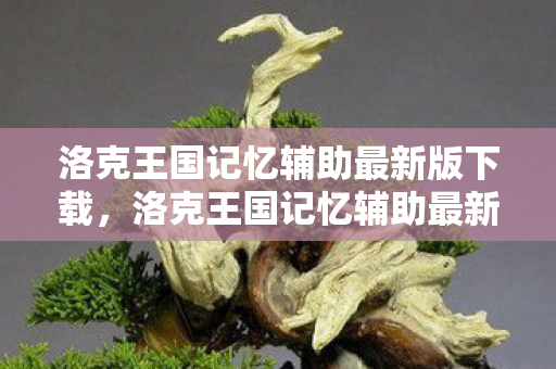 洛克王国记忆辅助最新版下载,洛克王国记忆辅助最新版的神奇之旅 洛克王国记忆辅助最新版下载,洛克王国记忆辅助最新版的神奇之旅