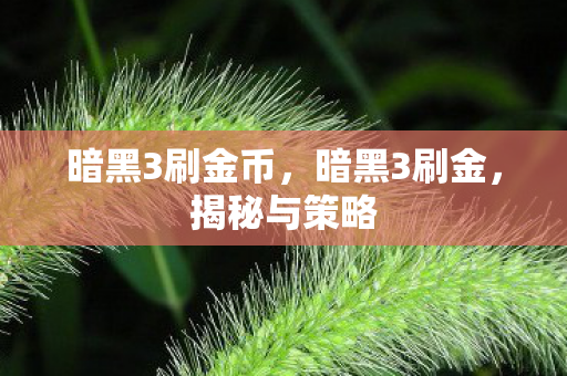 暗黑3刷金币,暗黑3刷金,揭秘与策略 暗黑3刷金币,暗黑3刷金,揭秘与策略