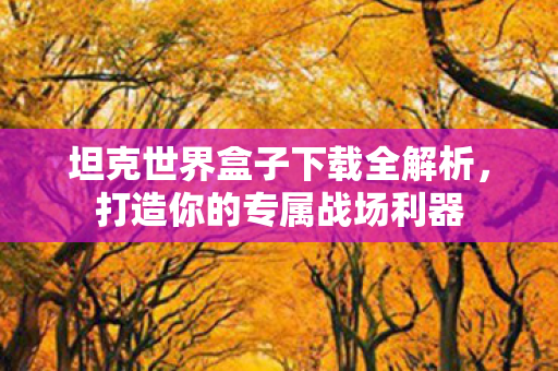 坦克世界盒子下载全解析,打造你的专属战场利器 坦克世界盒子下载全解析,打造你的专属战场利器