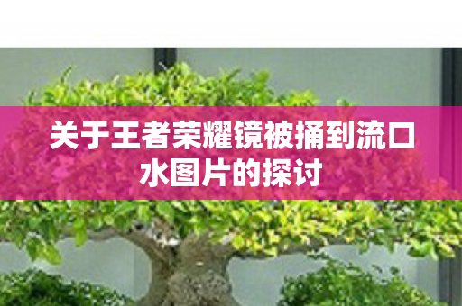 关于王者荣耀镜被捅到流口水图片的探讨 关于王者荣耀镜被捅到流口水图片的探讨