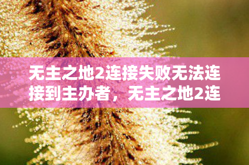 无主之地2连接失败无法连接到主办者,无主之地2连接失败,解决游戏连接问题的全面指南 无主之地2连接失败无法连接到主办者,无主之地2连接失败,解决游戏连接问题的全面指南