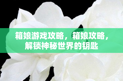 箱娘游戏攻略,箱娘攻略,解锁神秘世界的钥匙 箱娘游戏攻略,箱娘攻略,解锁神秘世界的钥匙