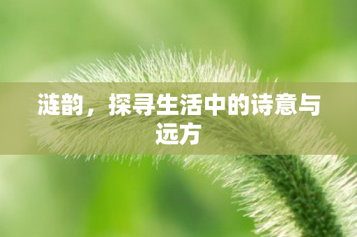 涟韵，探寻生活中的诗意与远方