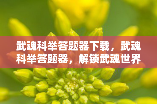 武魂科举答题器下载,武魂科举答题器,解锁武魂世界的智慧钥匙 武魂科举答题器下载,武魂科举答题器,解锁武魂世界的智慧钥匙