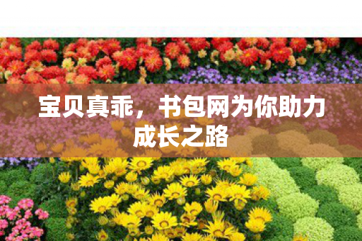 宝贝真乖,书包网为你助力成长之路 宝贝真乖,书包网为你助力成长之路