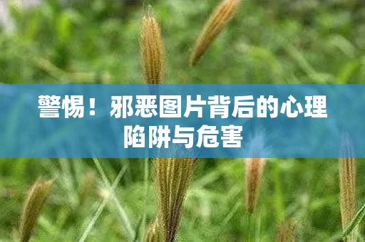 警惕!邪恶图片背后的心理陷阱与危害 警惕!邪恶图片背后的心理陷阱与危害