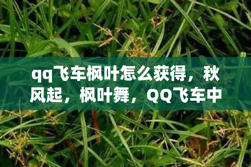 qq飞车枫叶怎么获得,秋风起,枫叶舞,QQ飞车中的浪漫之旅 qq飞车枫叶怎么获得,秋风起,枫叶舞,QQ飞车中的浪漫之旅