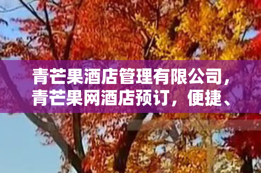 青芒果酒店管理有限公司,青芒果网酒店预订,便捷、安全、实惠的住宿新选择 青芒果酒店管理有限公司,青芒果网酒店预订,便捷、安全、实惠的住宿新选择