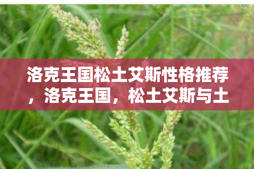 洛克王国松土艾斯性格推荐,洛克王国,松土艾斯与土地的探索 洛克王国松土艾斯性格推荐,洛克王国,松土艾斯与土地的探索