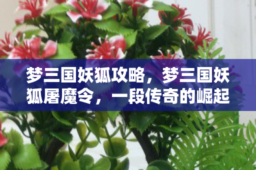 梦三国妖狐攻略，梦三国妖狐屠魔令，一段传奇的崛起与终结