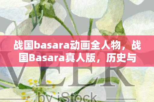 战国basara动画全人物,战国Basara真人版,历史与传说的碰撞 战国basara动画全人物,战国Basara真人版,历史与传说的碰撞