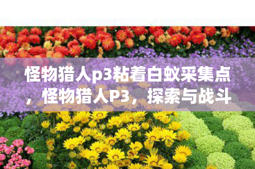 怪物猎人p3粘着白蚁采集点，怪物猎人P3，探索与战斗中的粘着白蚁
