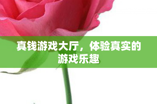 真钱游戏大厅,体验真实的游戏乐趣 真钱游戏大厅,体验真实的游戏乐趣