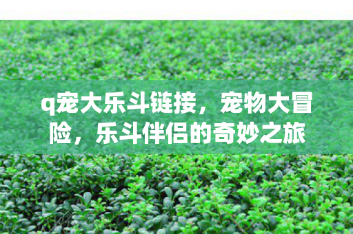 q宠大乐斗链接，宠物大冒险，乐斗伴侣的奇妙之旅