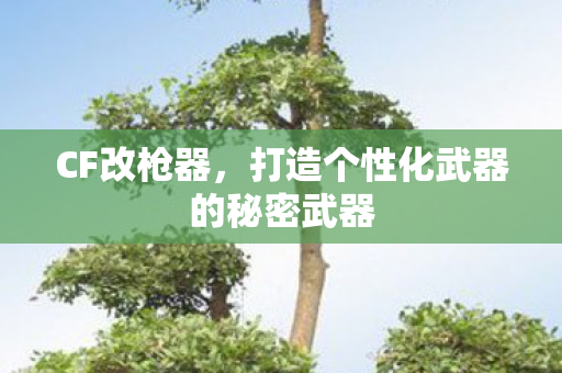 CF改枪器,打造个性化武器的秘密武器 CF改枪器,打造个性化武器的秘密武器