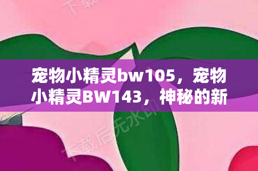 宠物小精灵bw105,宠物小精灵BW143,神秘的新冒险 宠物小精灵bw105,宠物小精灵BW143,神秘的新冒险