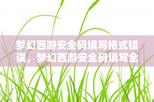 梦幻西游安全码填写格式错误，梦幻西游安全码填写全攻略，保障账号安全，畅游梦幻世界